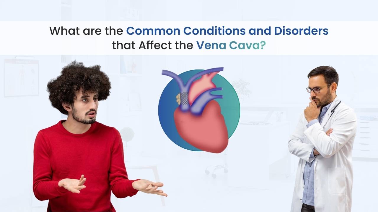 what are the common conditions and disorders that affect the vena cava