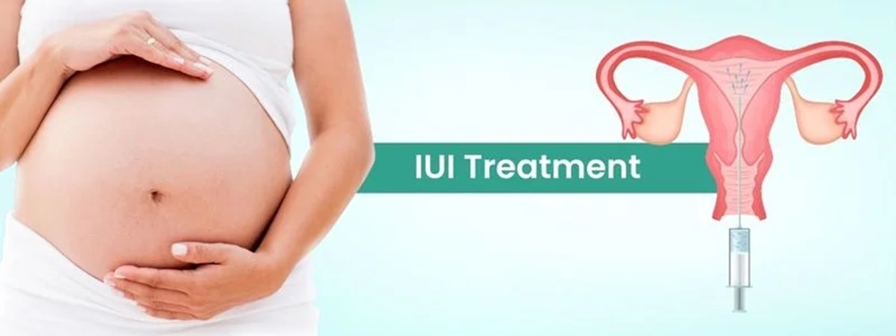iui treatment cost in india