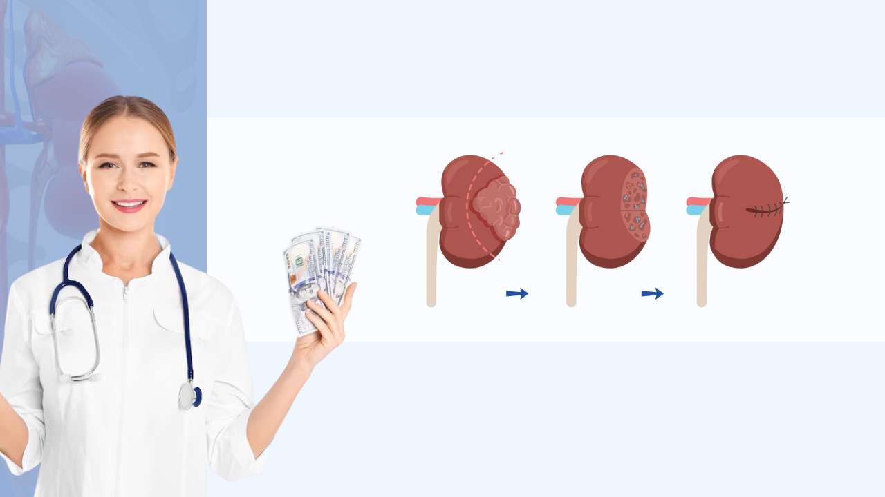factors affecting the cost of robotic partial nephrectomy in india