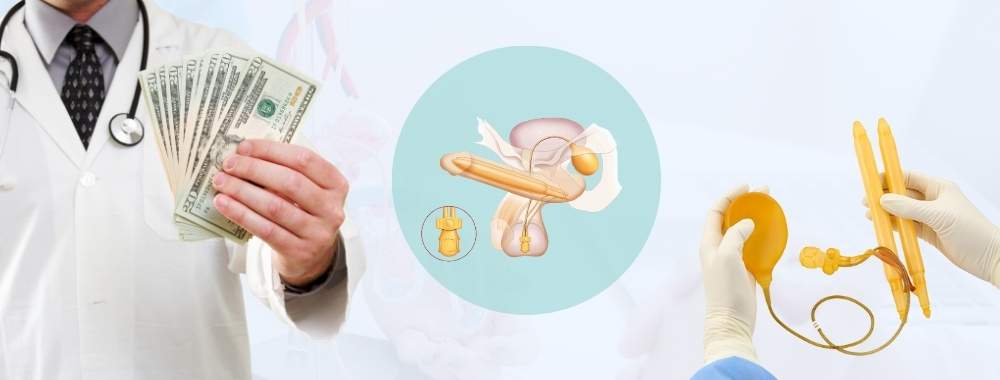factors influencing the penile implant cost in india